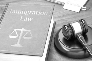 immigration attorney florida